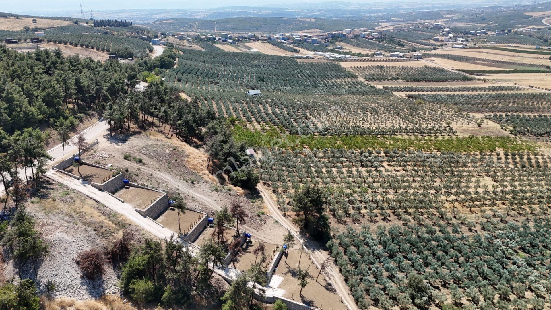Mudanya Ülküköy Satılık Hobi Bahçesi İçin Hazır Hisse - Görsel 8