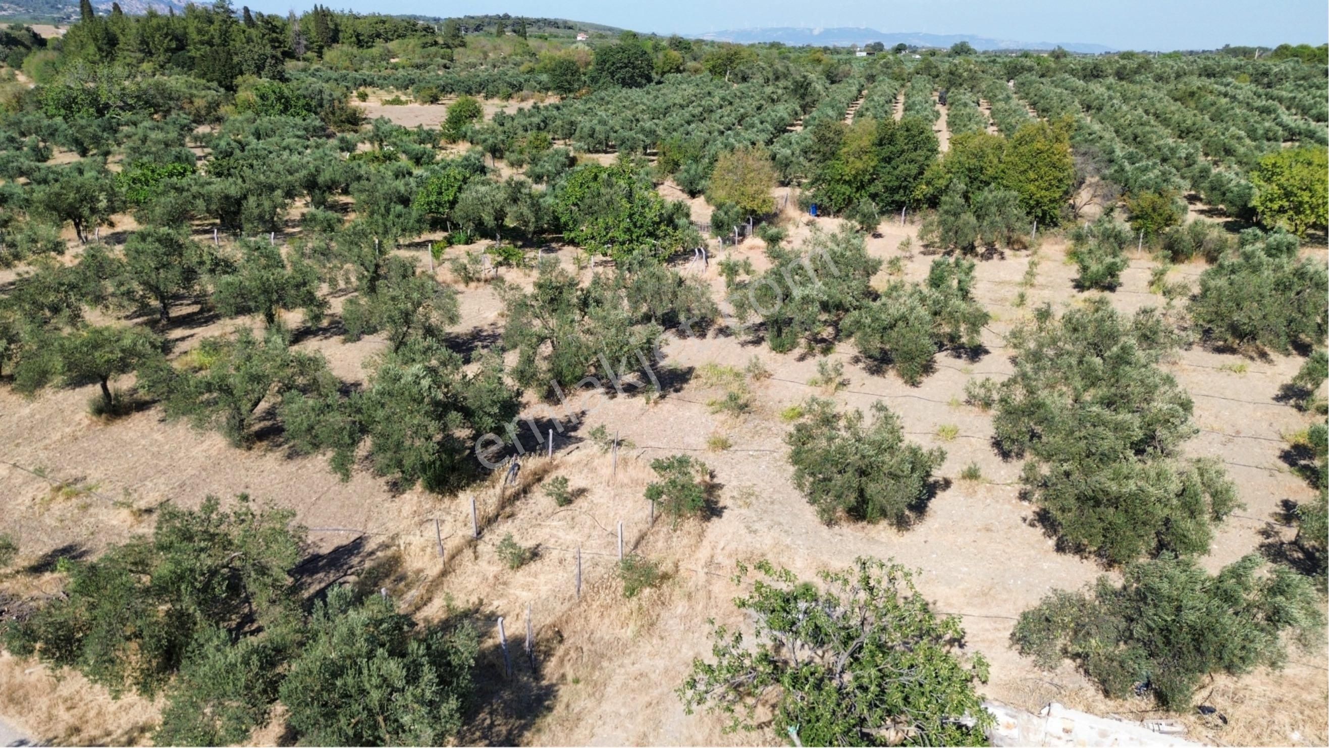 “11723 M² Doğada Hazır Yaşam” - Görsel 8