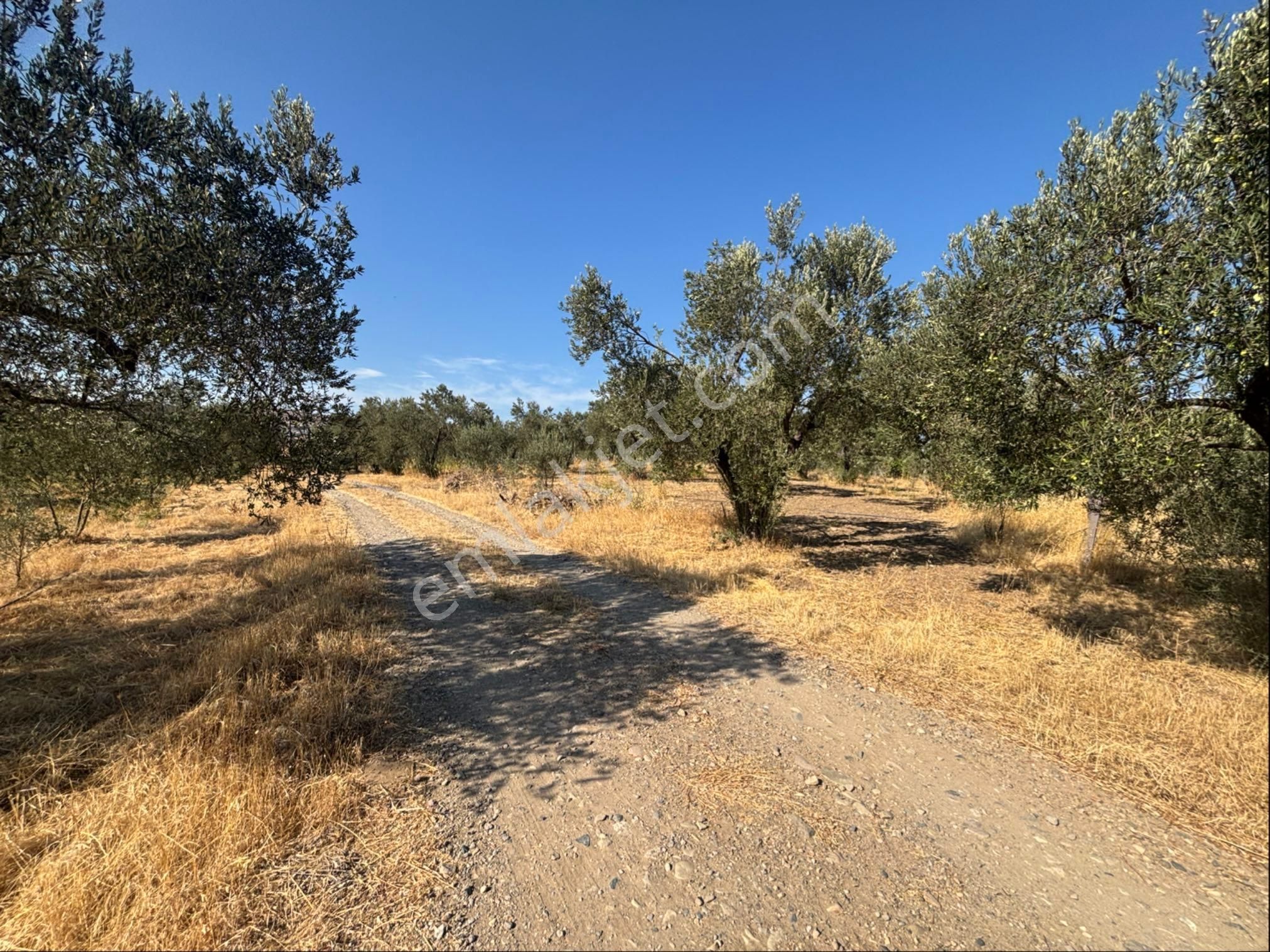 “11723 M² Doğada Hazır Yaşam” - Görsel 12