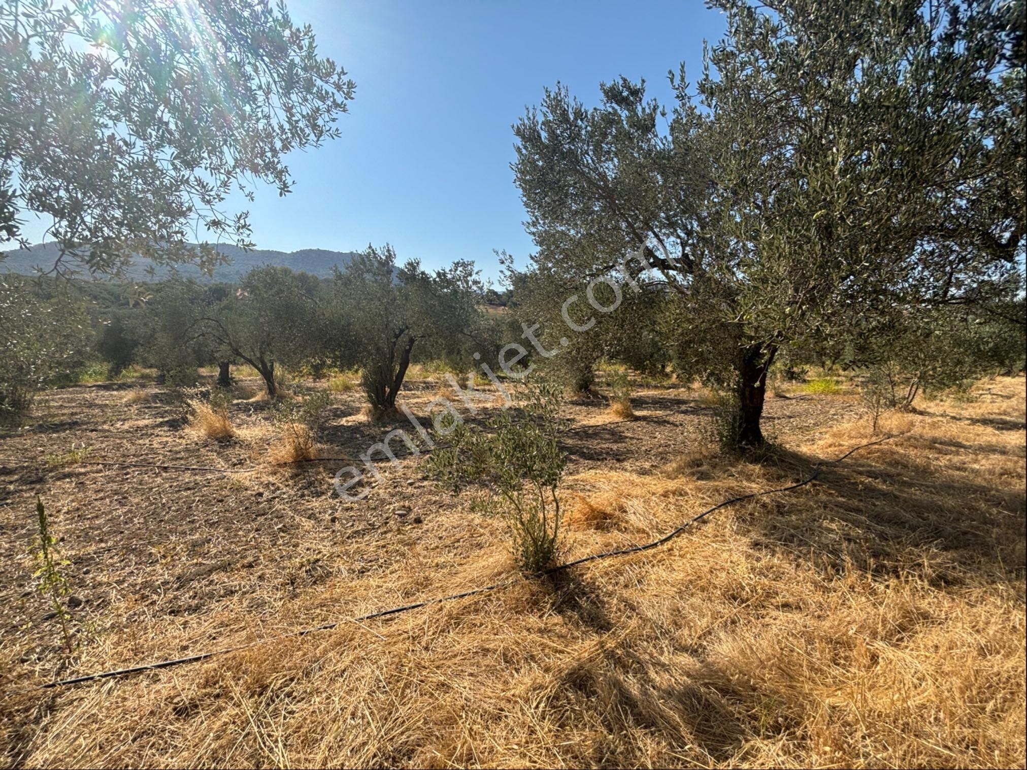 “11723 M² Doğada Hazır Yaşam” - Görsel 11