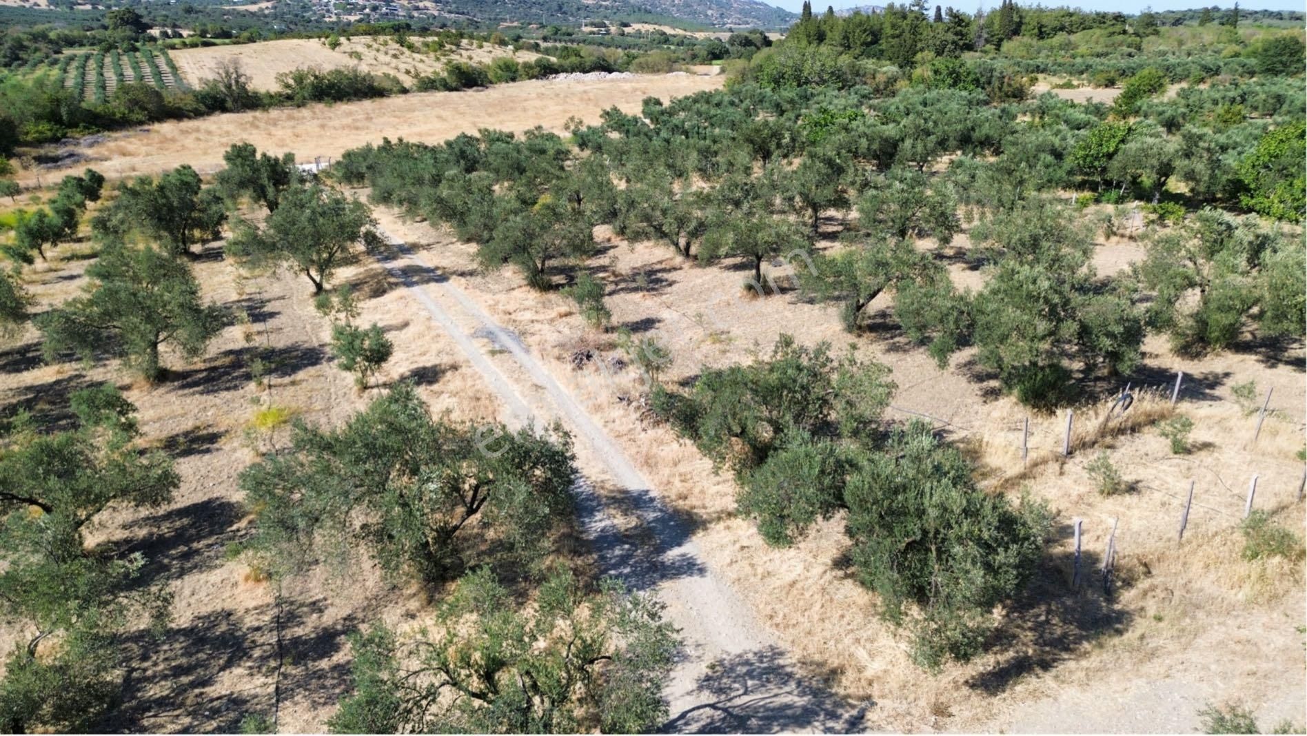 “11723 M² Doğada Hazır Yaşam” - Görsel 9