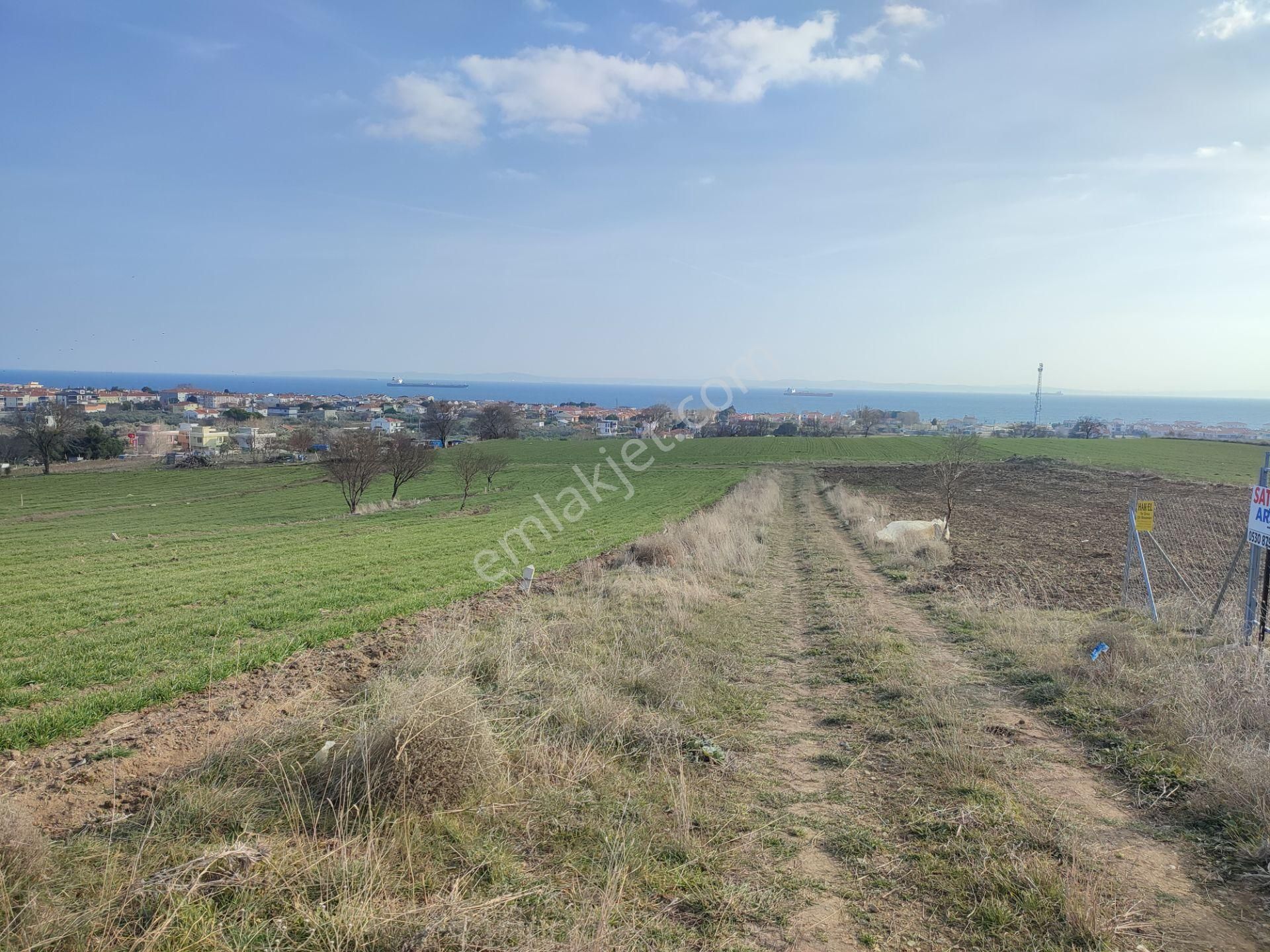 Bulut Yatırımdan 218 M² % 25 Villa İmarlı Yeni Hastane Mevkinde Deniz Manzaralı Arsalar - Görsel 4