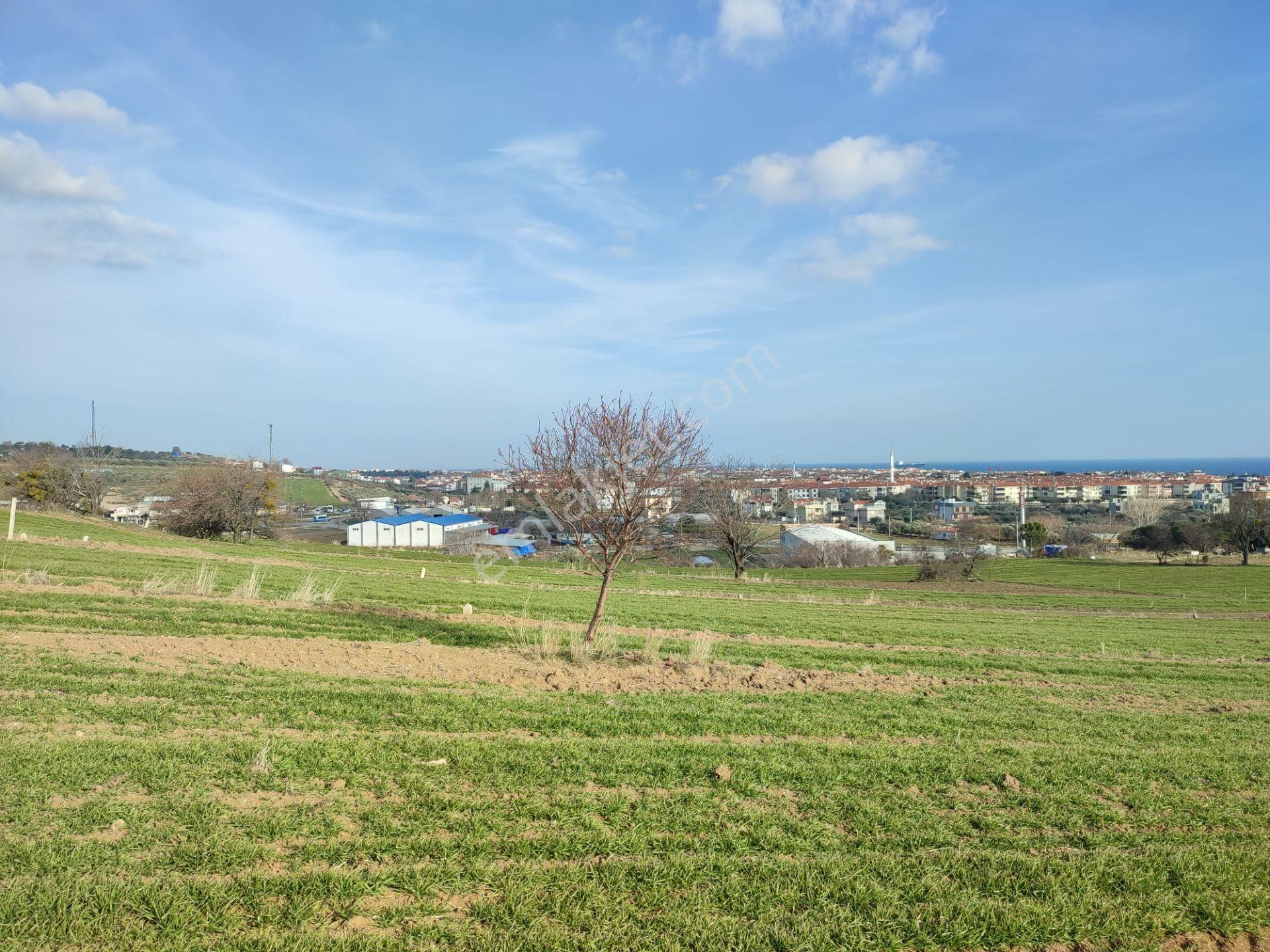 Bulut Yatırımdan 218 M² % 25 Villa İmarlı Yeni Hastane Mevkinde Deniz Manzaralı Arsalar - Görsel 9