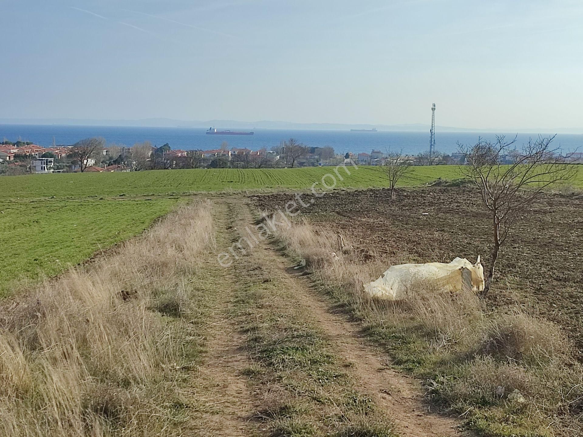 Bulut Yatırımdan 218 M² % 25 Villa İmarlı Yeni Hastane Mevkinde Deniz Manzaralı Arsalar - Görsel 33