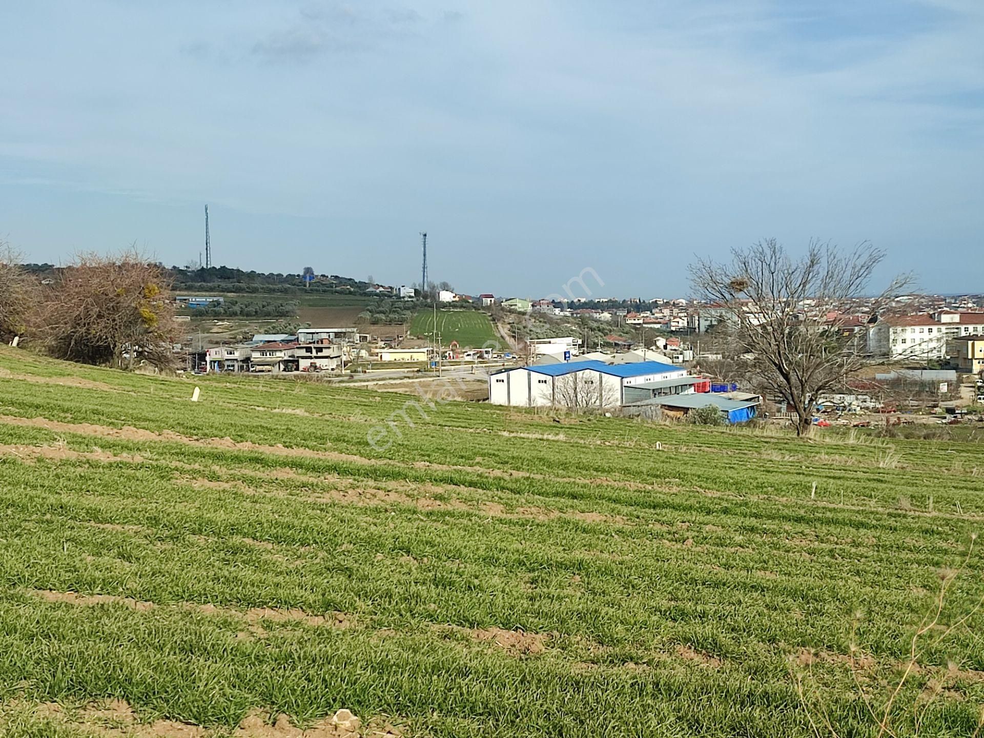 Bulut Yatırımdan 218 M² % 25 Villa İmarlı Yeni Hastane Mevkinde Deniz Manzaralı Arsalar - Görsel 29