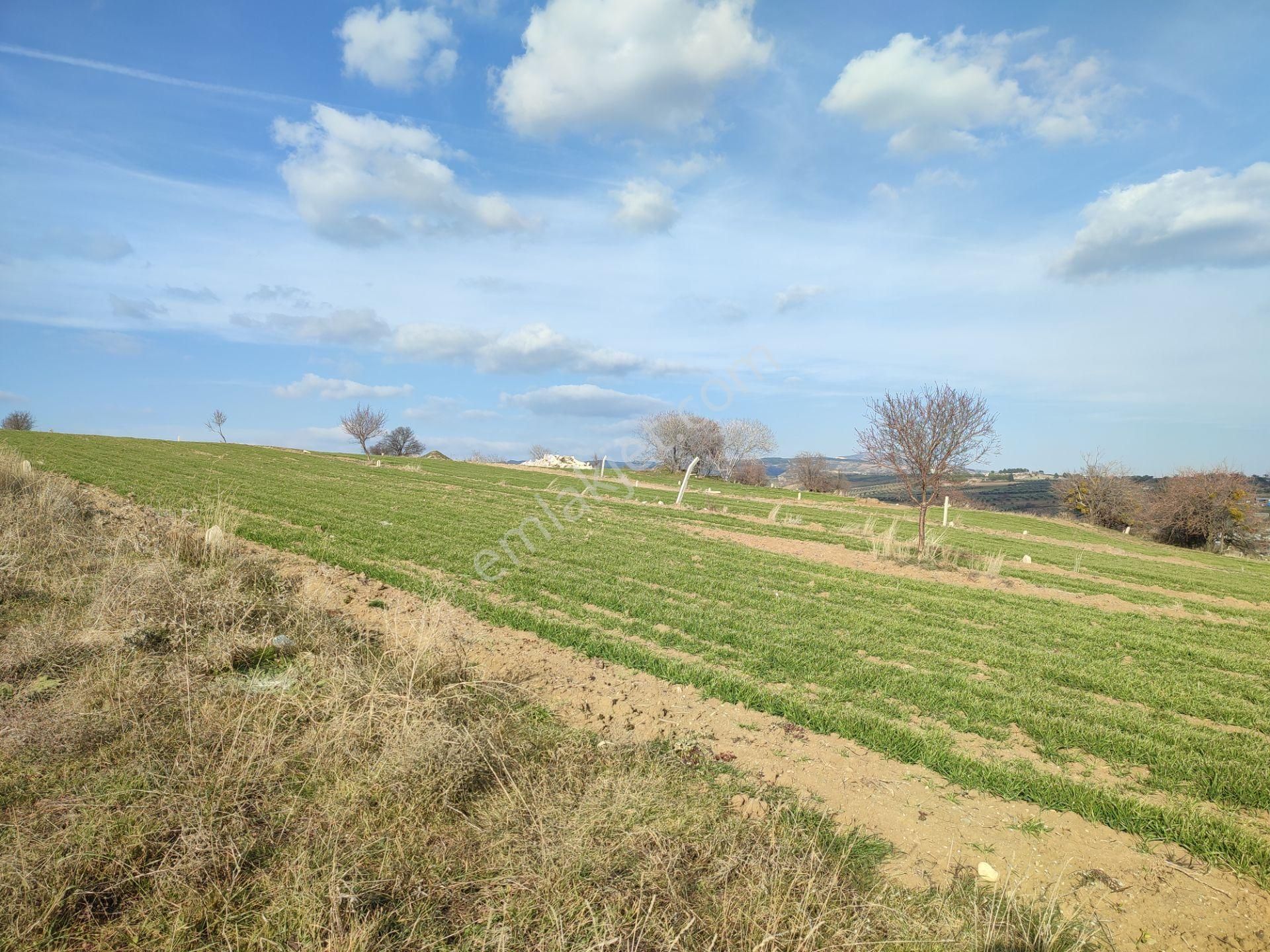 Bulut Yatırımdan 218 M² % 25 Villa İmarlı Yeni Hastane Mevkinde Deniz Manzaralı Arsalar - Görsel 28