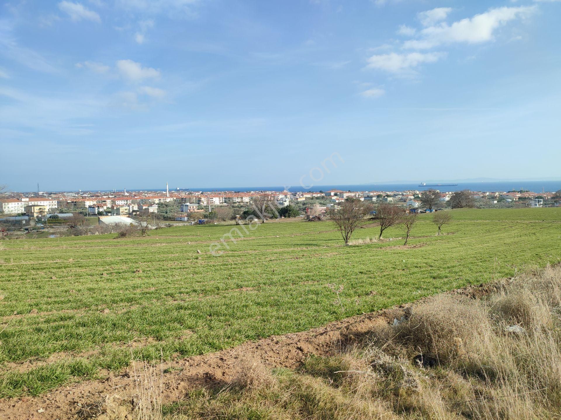 Bulut Yatırımdan 218 M² % 25 Villa İmarlı Yeni Hastane Mevkinde Deniz Manzaralı Arsalar - Görsel 23