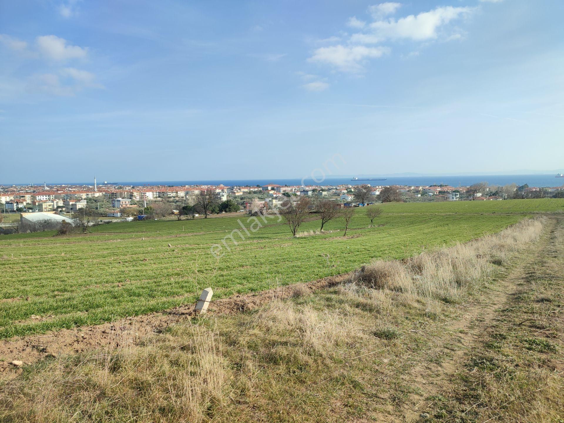 Bulut Yatırımdan 218 M² % 25 Villa İmarlı Yeni Hastane Mevkinde Deniz Manzaralı Arsalar - Görsel 17