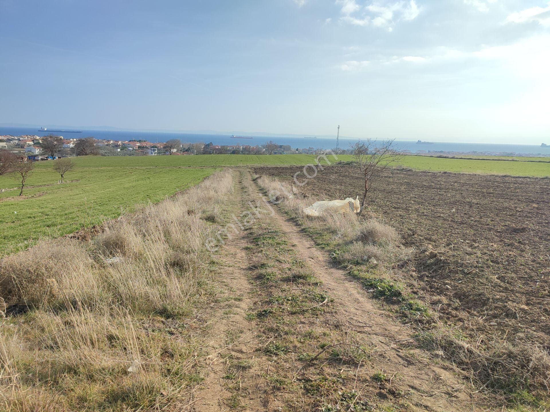 Bulut Yatırımdan 218 M² % 25 Villa İmarlı Yeni Hastane Mevkinde Deniz Manzaralı Arsalar - Görsel 25