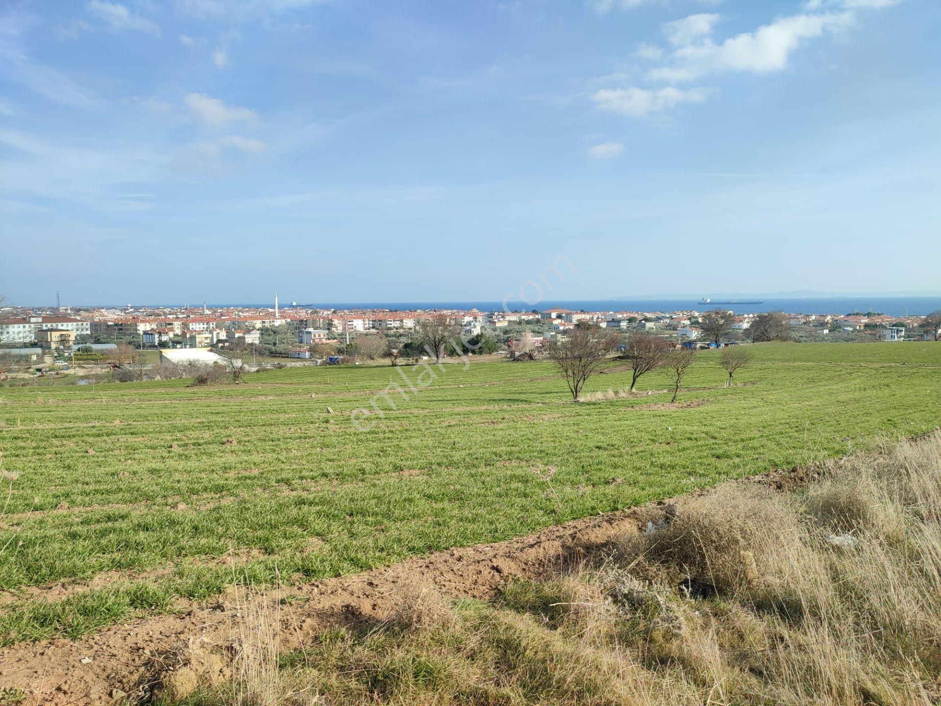 Bulut Yatırımdan 218 M² % 25 Villa İmarlı Yeni Hastane Mevkinde Deniz Manzaralı Arsalar - Görsel 26