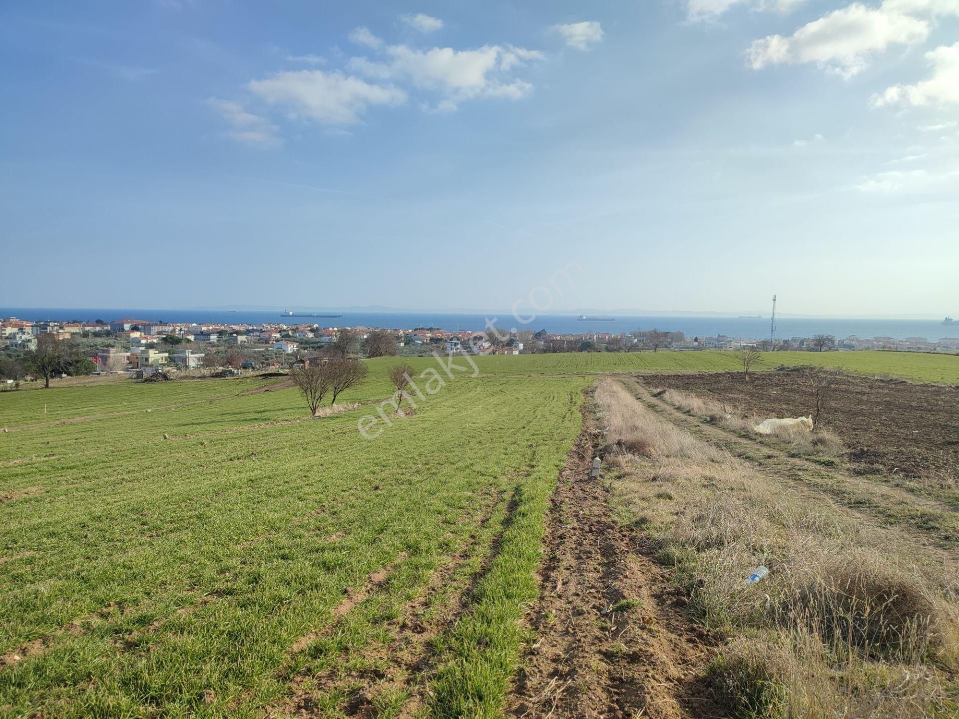 Bulut Yatırımdan 218 M² % 25 Villa İmarlı Yeni Hastane Mevkinde Deniz Manzaralı Arsalar - Görsel 12