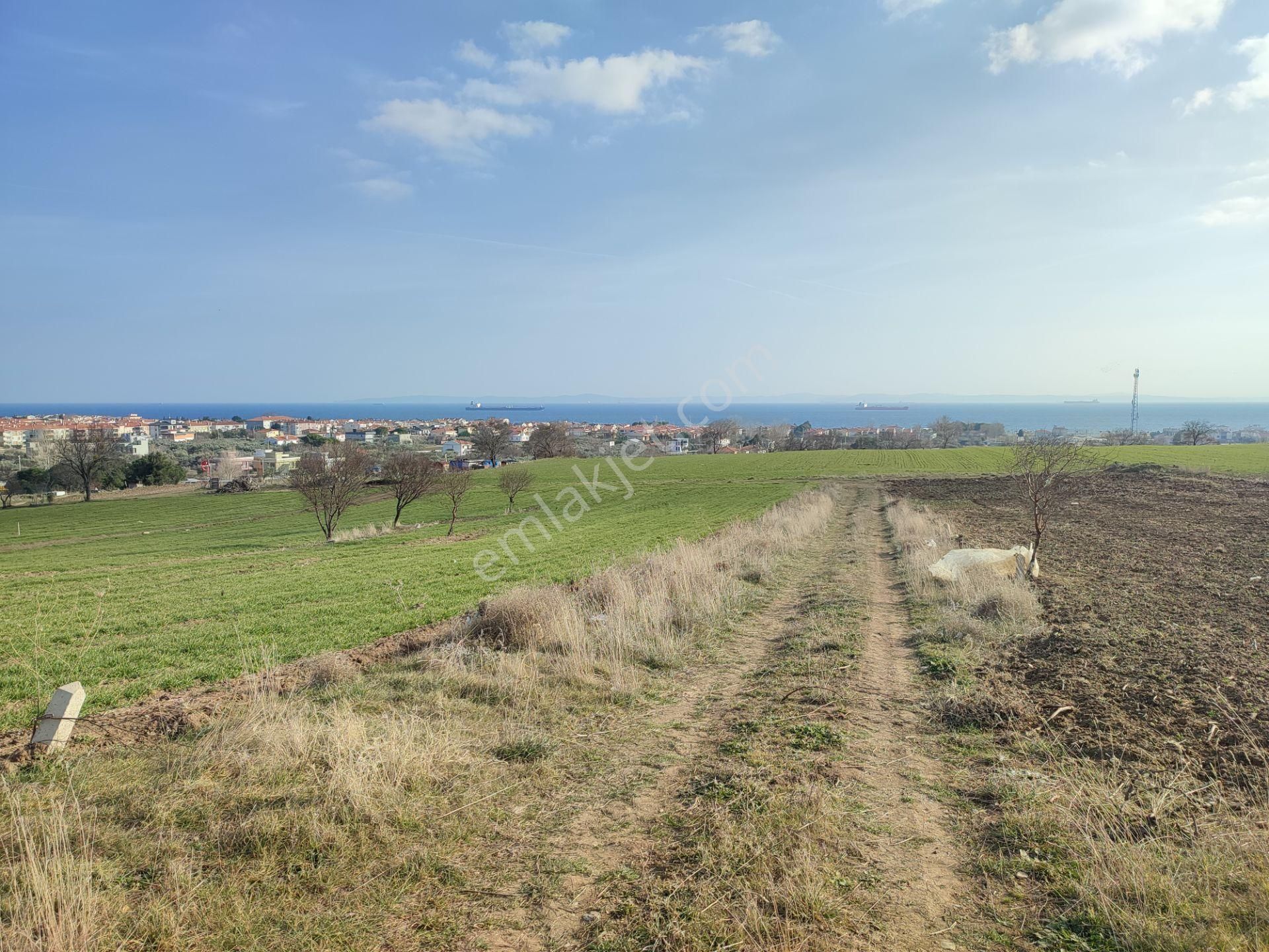 Bulut Yatırımdan 218 M² % 25 Villa İmarlı Yeni Hastane Mevkinde Deniz Manzaralı Arsalar - Görsel 16