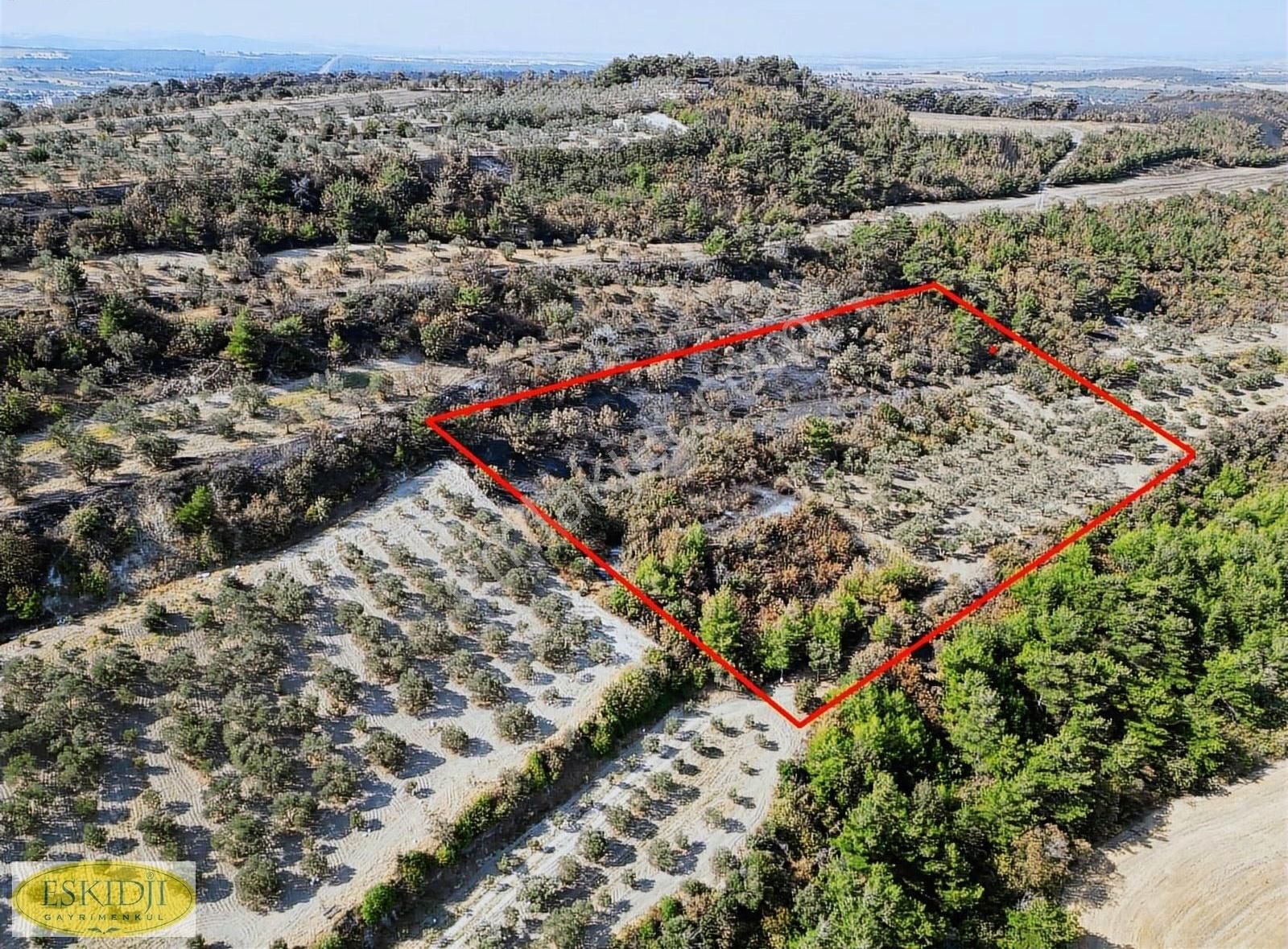 Çanakkale Erenköy Çakaltepe Mevkii Boğaz Manzaralı Satılık Tarla - Görsel 15