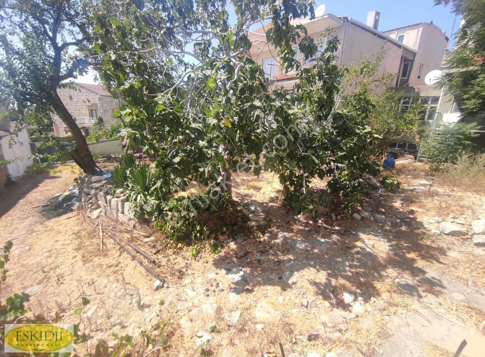 Çanakkale Erenköy Merkezinde Satılık Bahçeli Kagir Taş Ev.