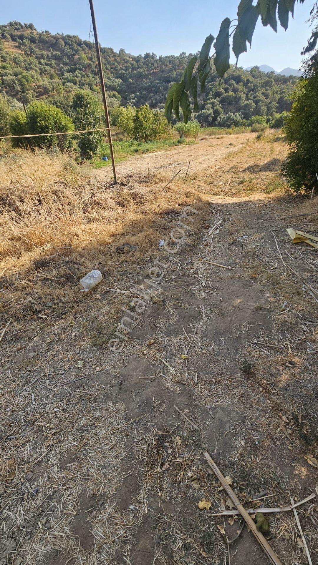 Tire Doğuş Emlaktan Kocaaliler Köyünde Satılık Tarla - Görsel 2