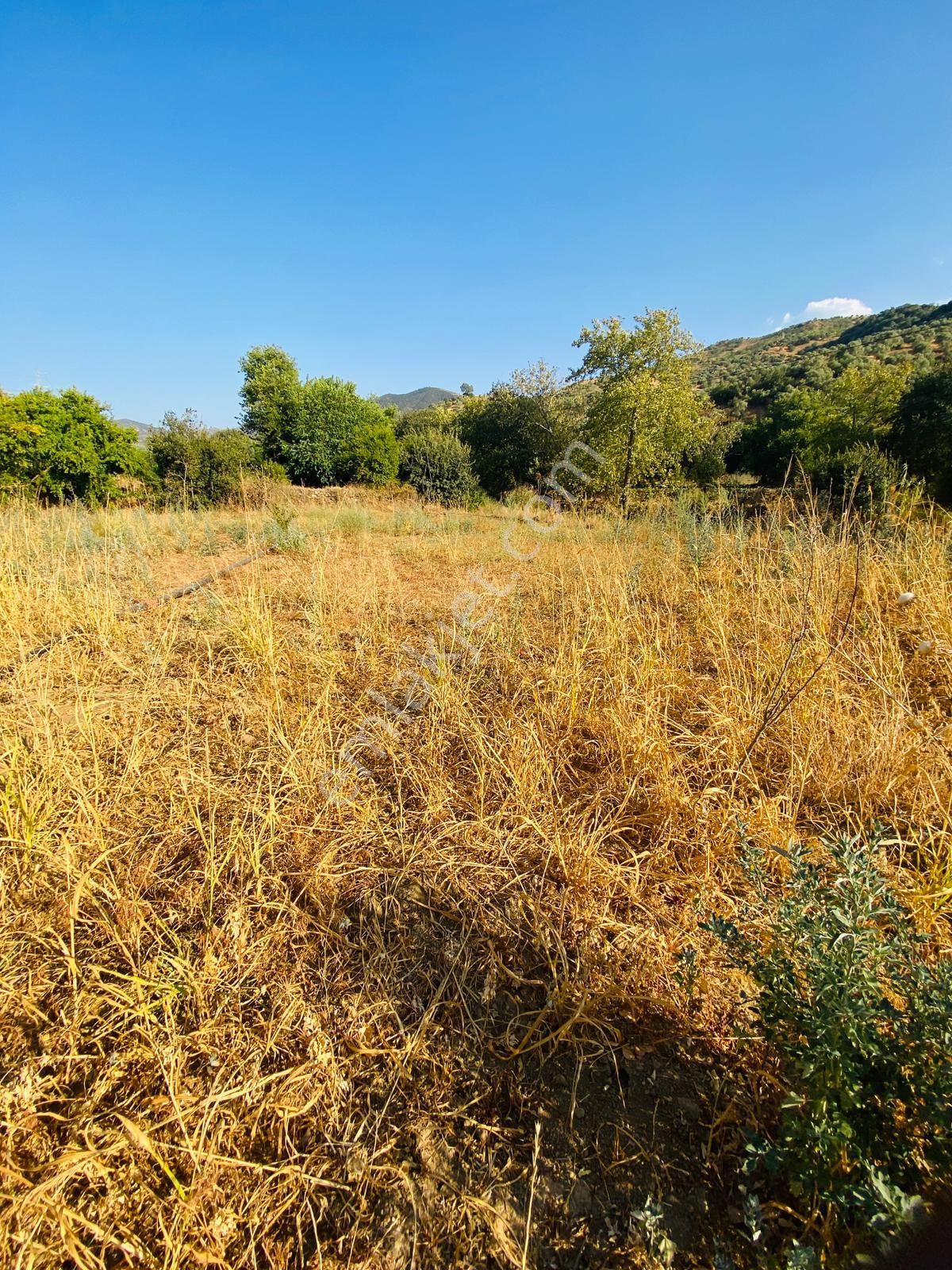 Tire Doğuş Emlaktan Kocaaliler Köyünde Satılık Tarla - Görsel 10