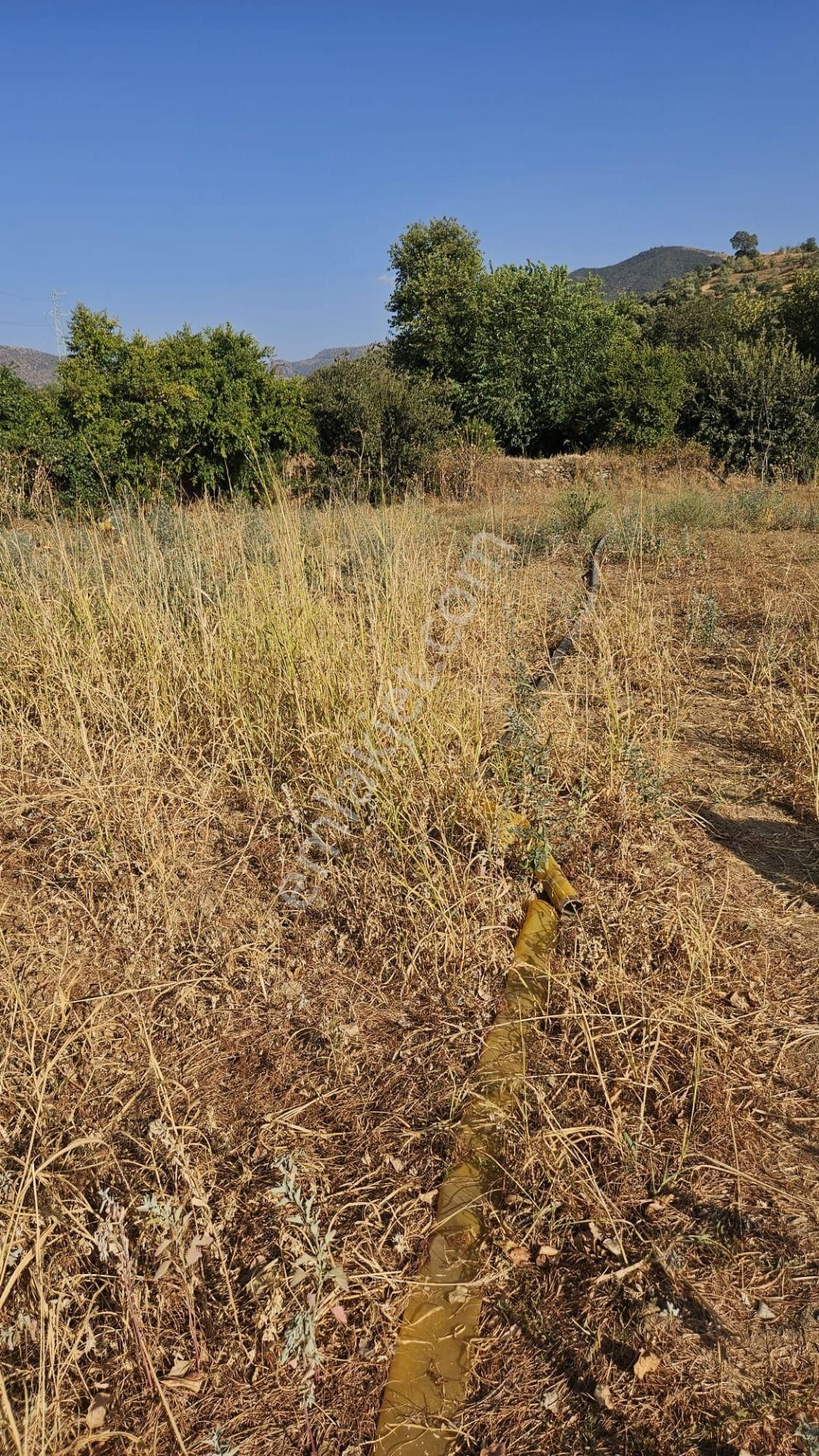 Tire Doğuş Emlaktan Kocaaliler Köyünde Satılık Tarla - Görsel 7