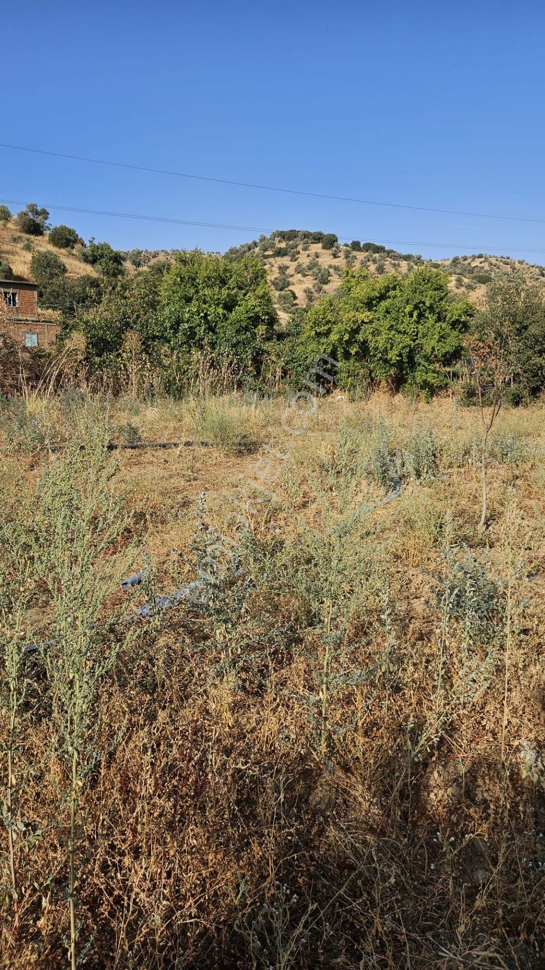 Tire Doğuş Emlaktan Kocaaliler Köyünde Satılık Tarla - Görsel 6