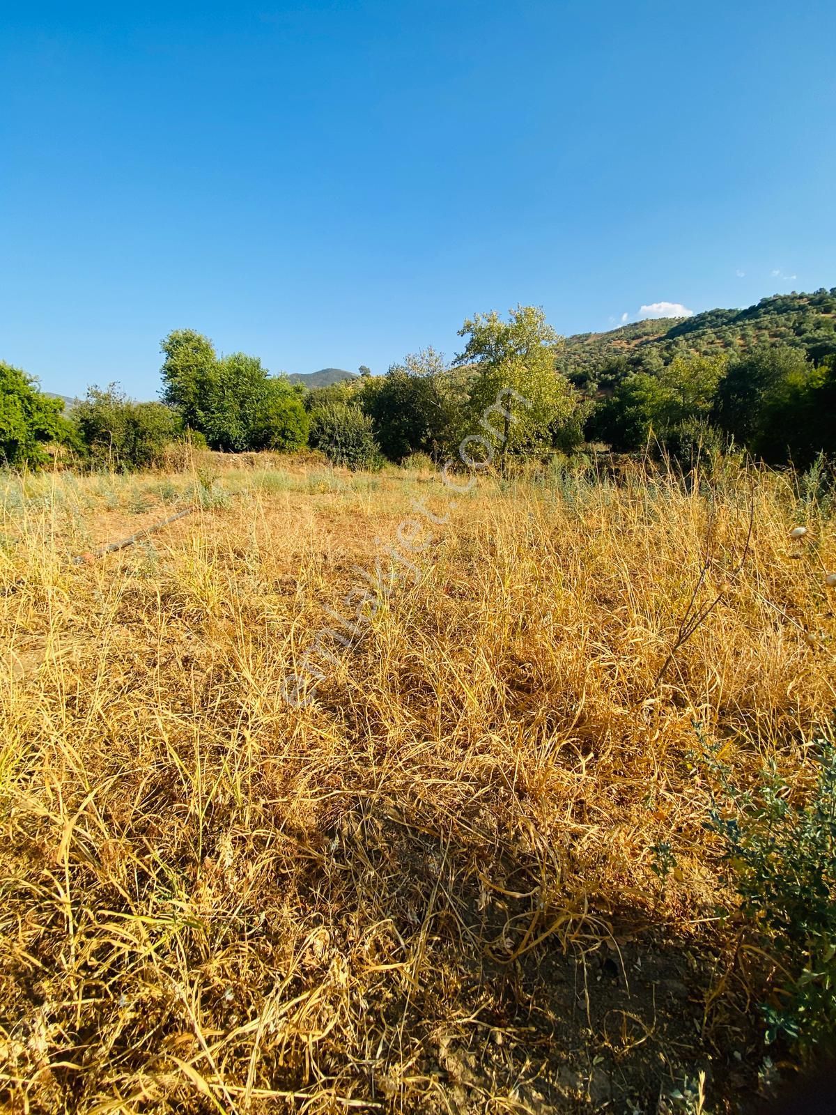Tire Doğuş Emlaktan Kocaaliler Köyünde Satılık Tarla - Görsel 9