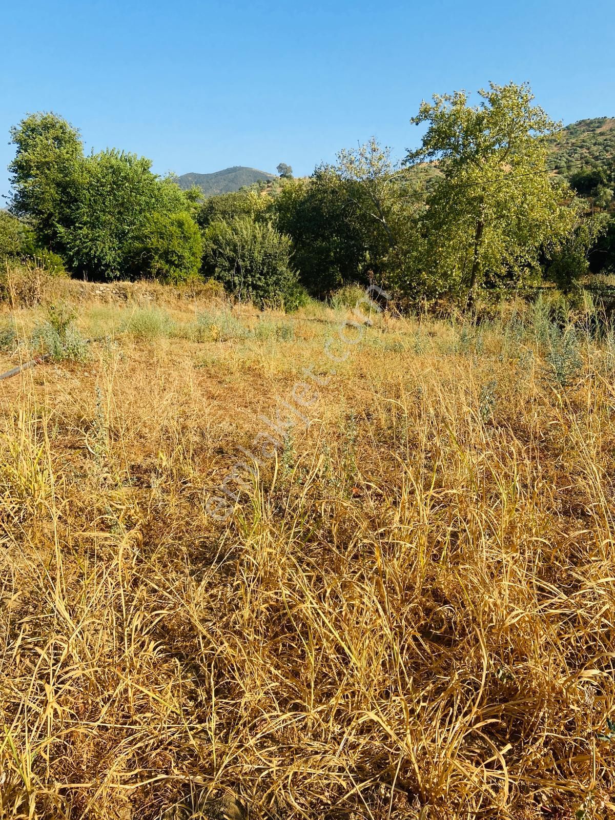 Tire Doğuş Emlaktan Kocaaliler Köyünde Satılık Tarla - Görsel 8