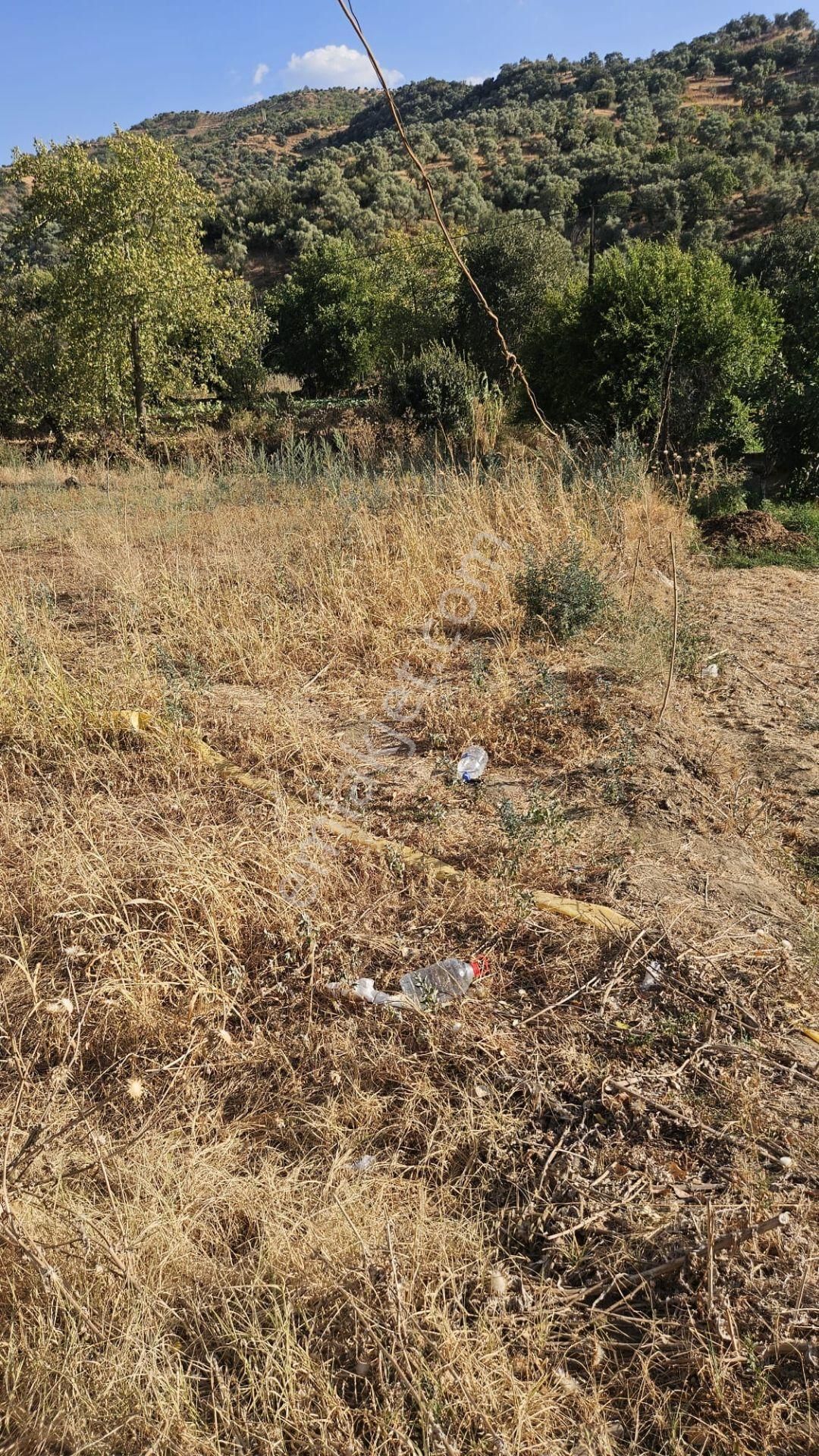 Tire Doğuş Emlaktan Kocaaliler Köyünde Satılık Tarla - Görsel 5