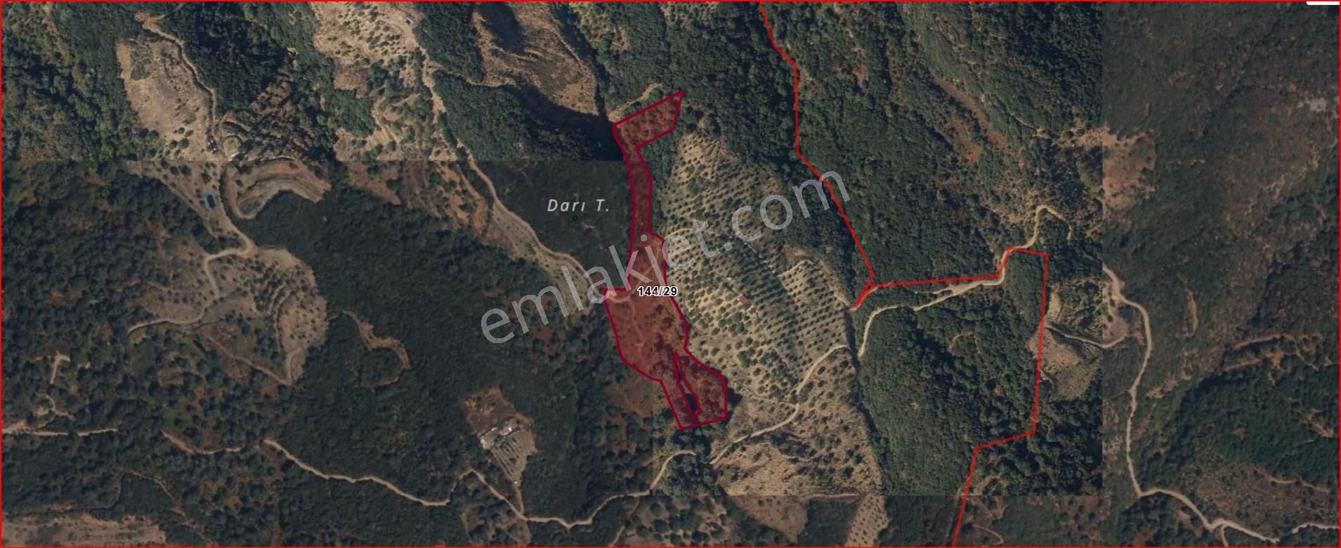 Kaçmaz Emlaktan Kaplanda 15 000 M2 Kestanelik - Görsel 3