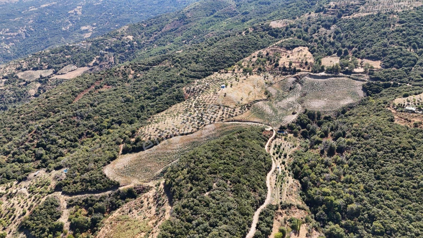 Kaçmaz Emlaktan Kaplanda 15 000 M2 Kestanelik - Görsel 10