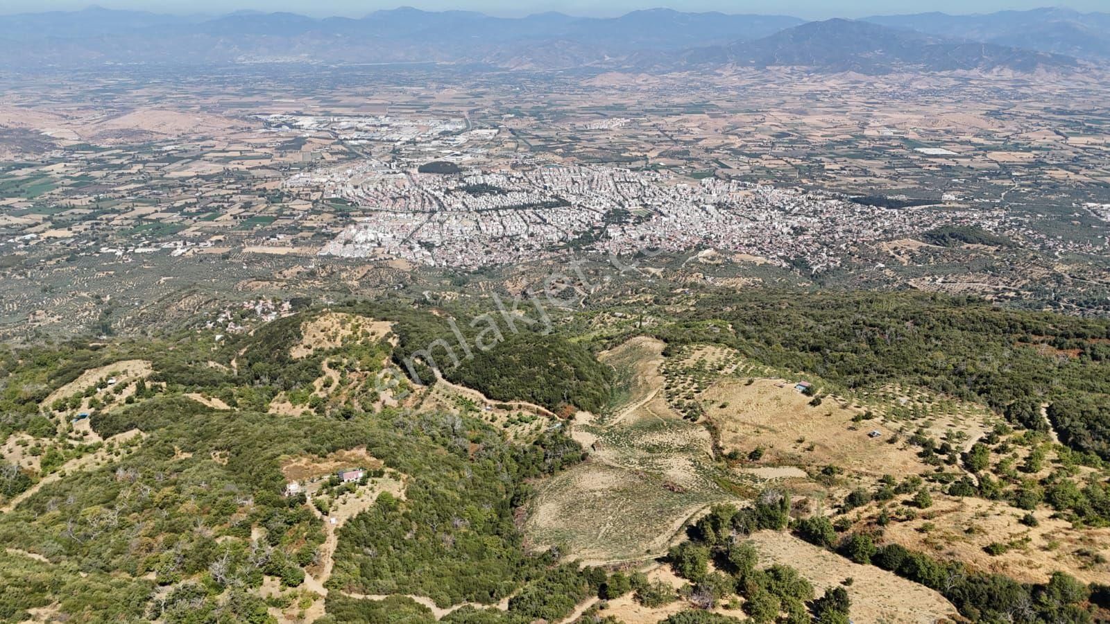 Kaçmaz Emlaktan Kaplanda 15 000 M2 Kestanelik - Görsel 22