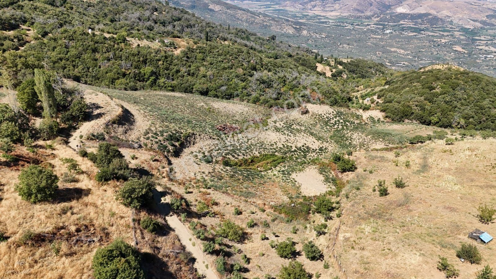 Kaçmaz Emlaktan Kaplanda 15 000 M2 Kestanelik - Görsel 27