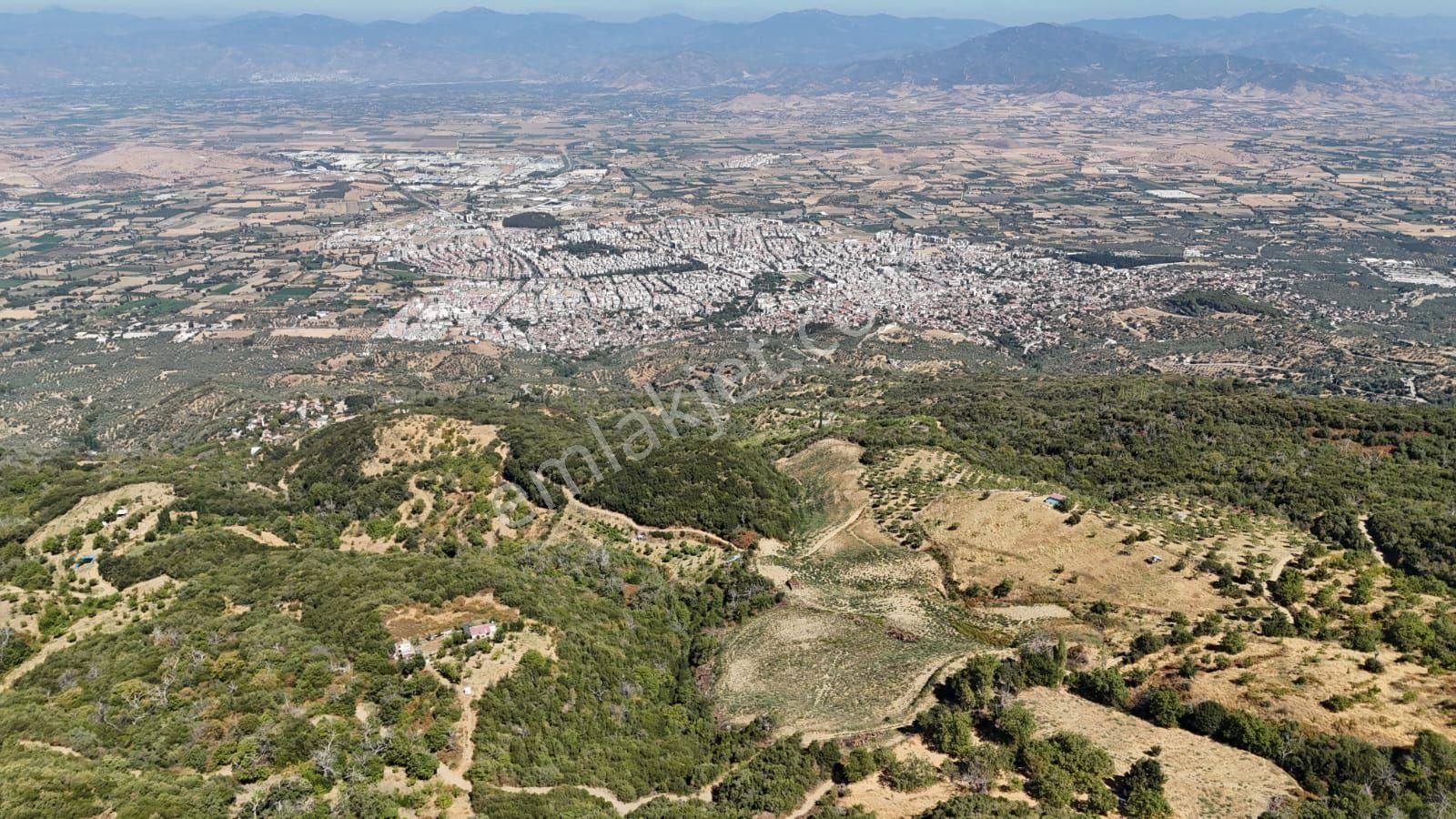 Kaçmaz Emlaktan Kaplanda 15 000 M2 Kestanelik - Görsel 21