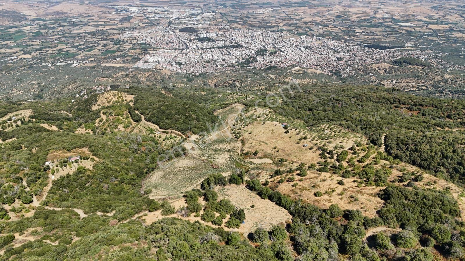 Kaçmaz Emlaktan Kaplanda 15 000 M2 Kestanelik - Görsel 23