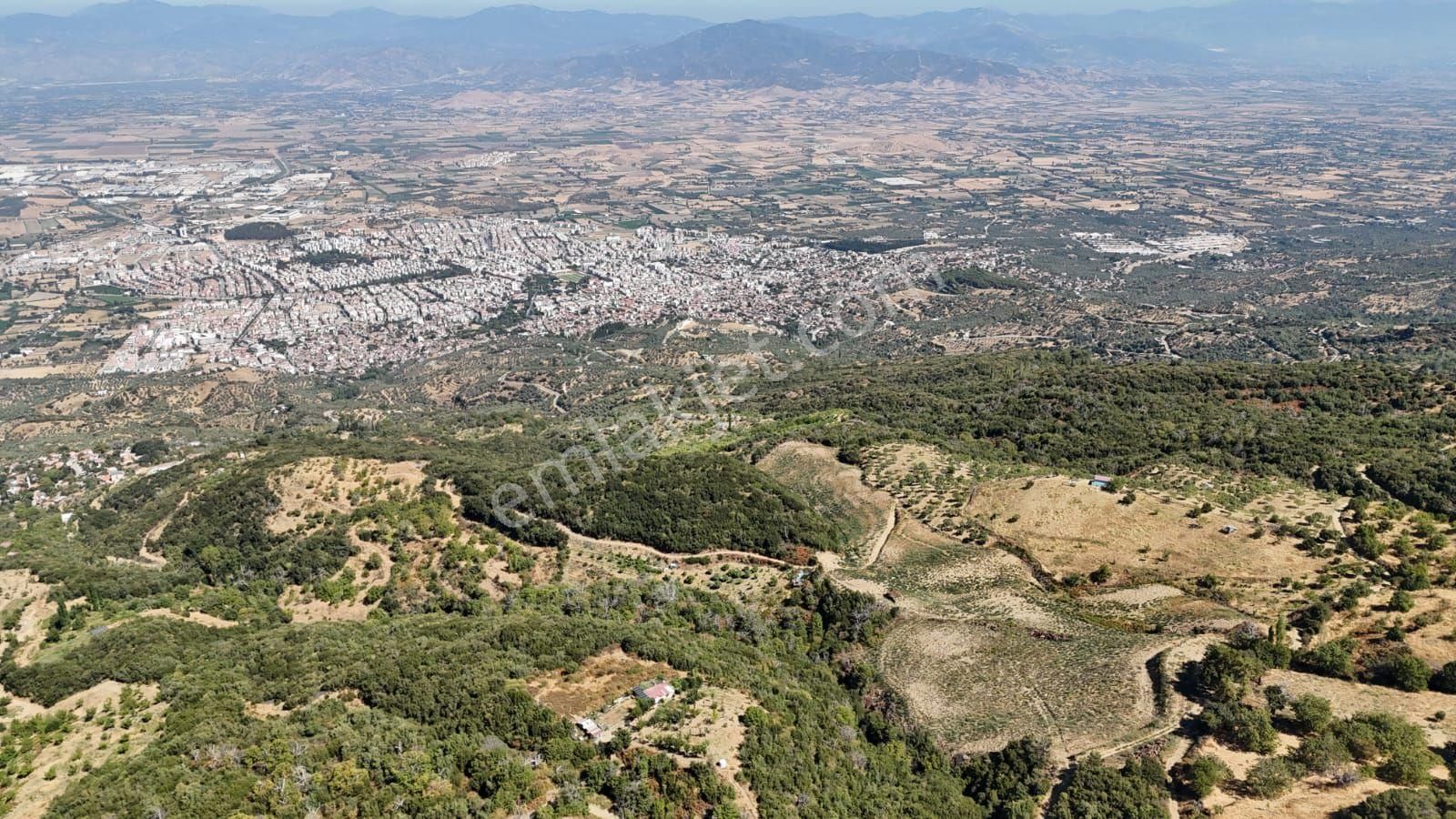 Kaçmaz Emlaktan Kaplanda 15 000 M2 Kestanelik - Görsel 18