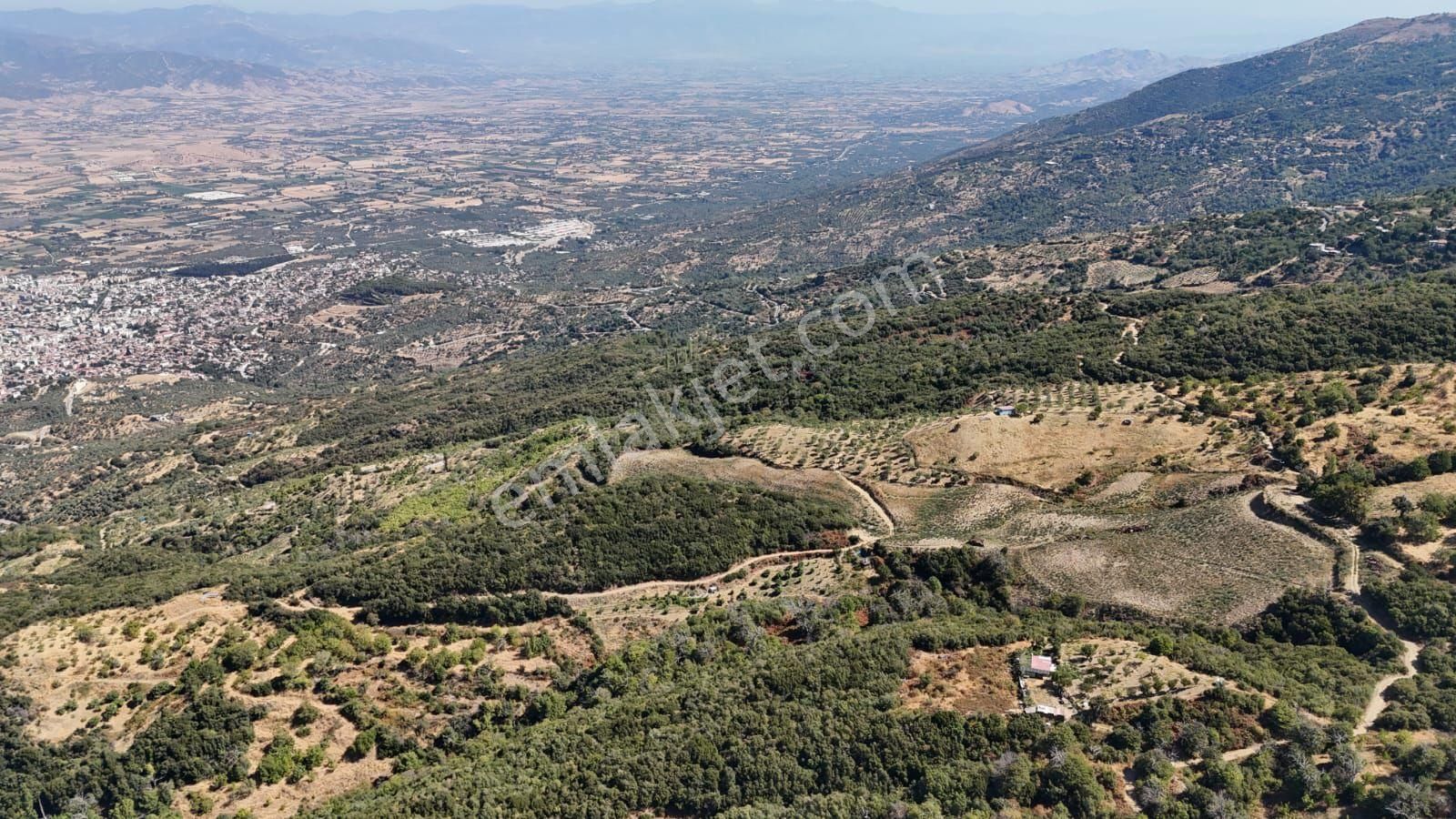 Kaçmaz Emlaktan Kaplanda 15 000 M2 Kestanelik - Görsel 15