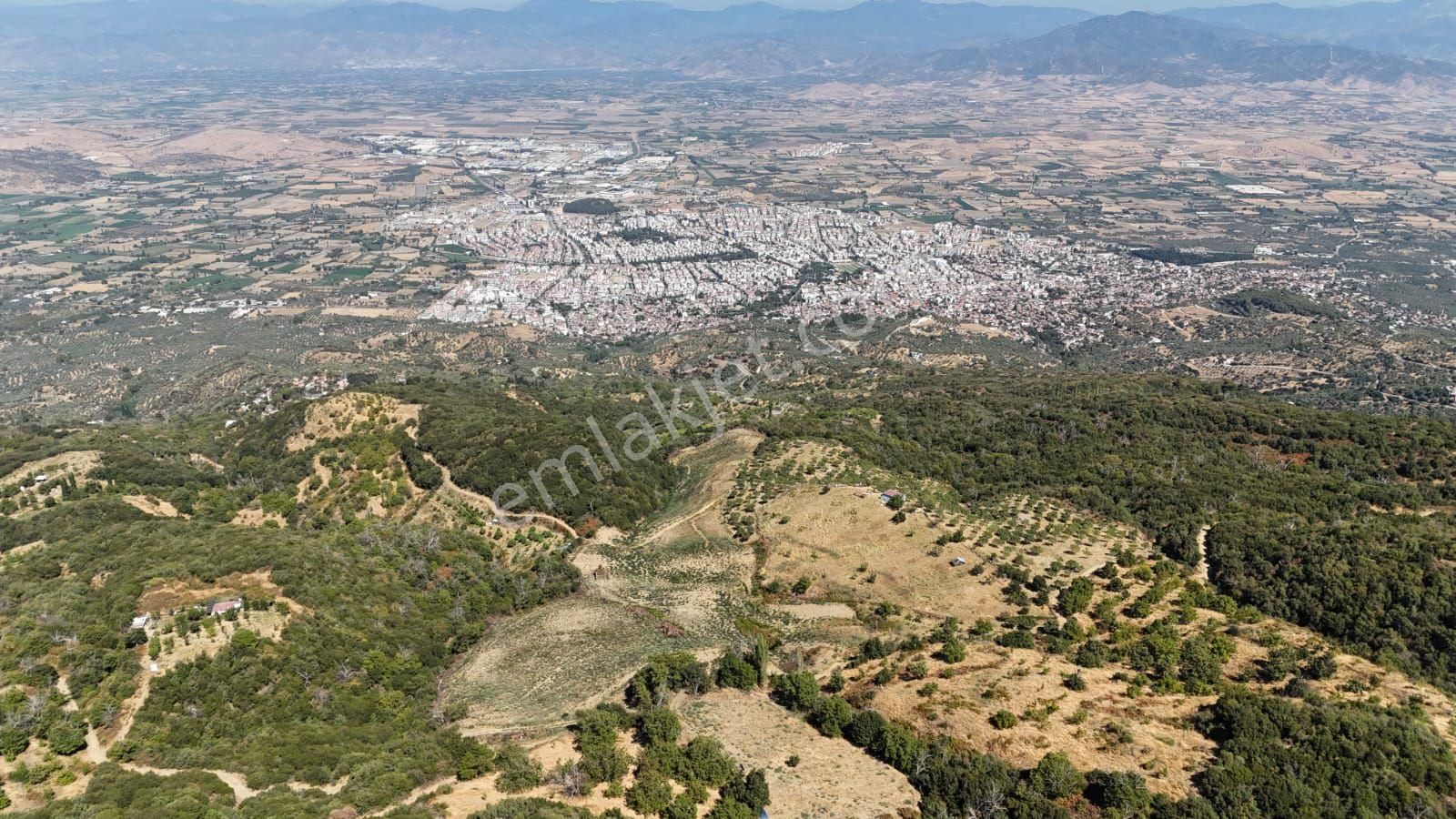 Kaçmaz Emlaktan Kaplanda 15 000 M2 Kestanelik - Görsel 26