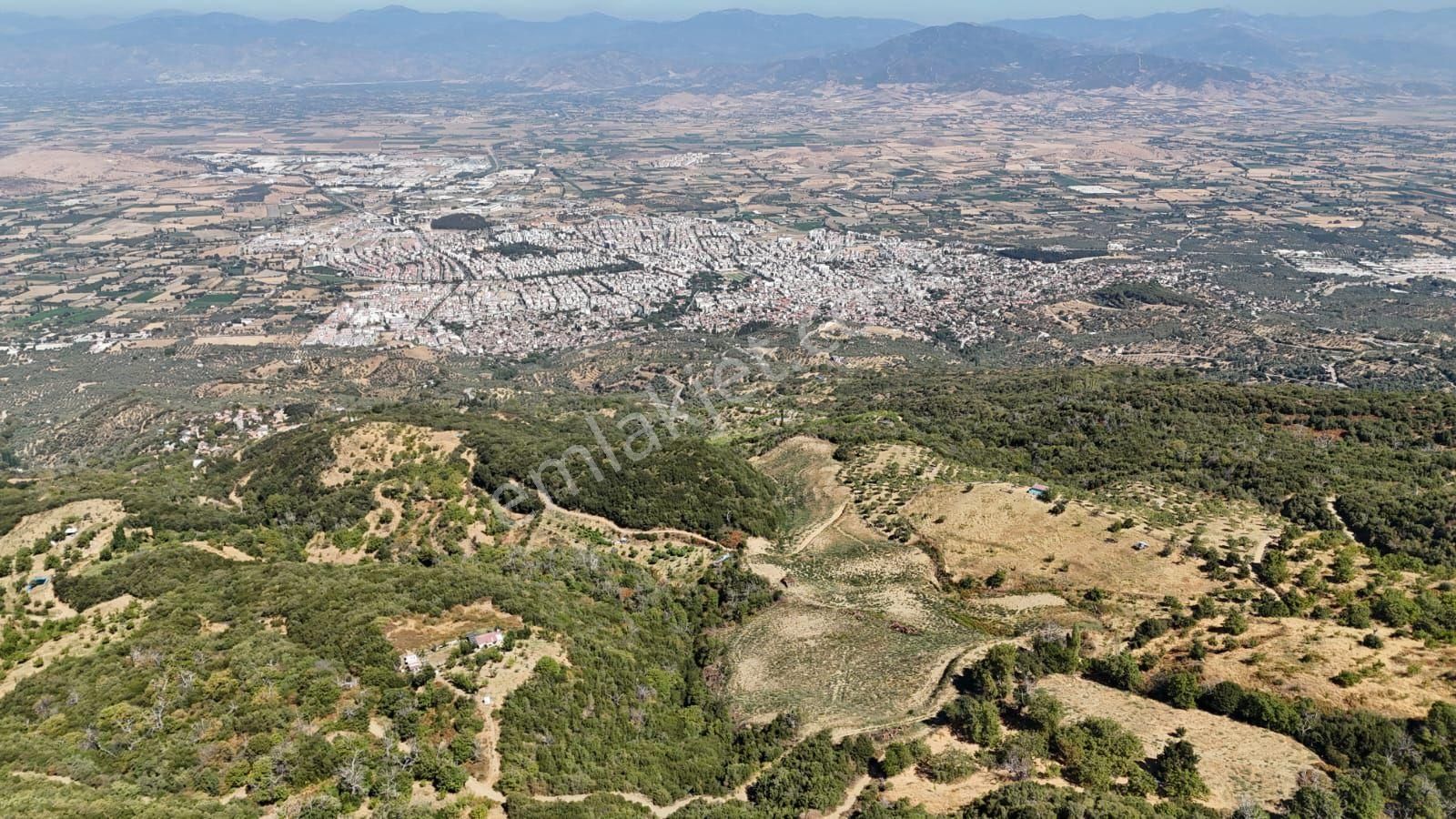 Kaçmaz Emlaktan Kaplanda 15 000 M2 Kestanelik - Görsel 20