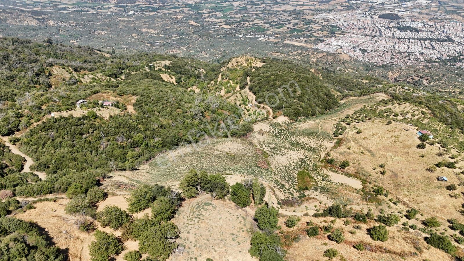 Kaçmaz Emlaktan Kaplanda 15 000 M2 Kestanelik - Görsel 25