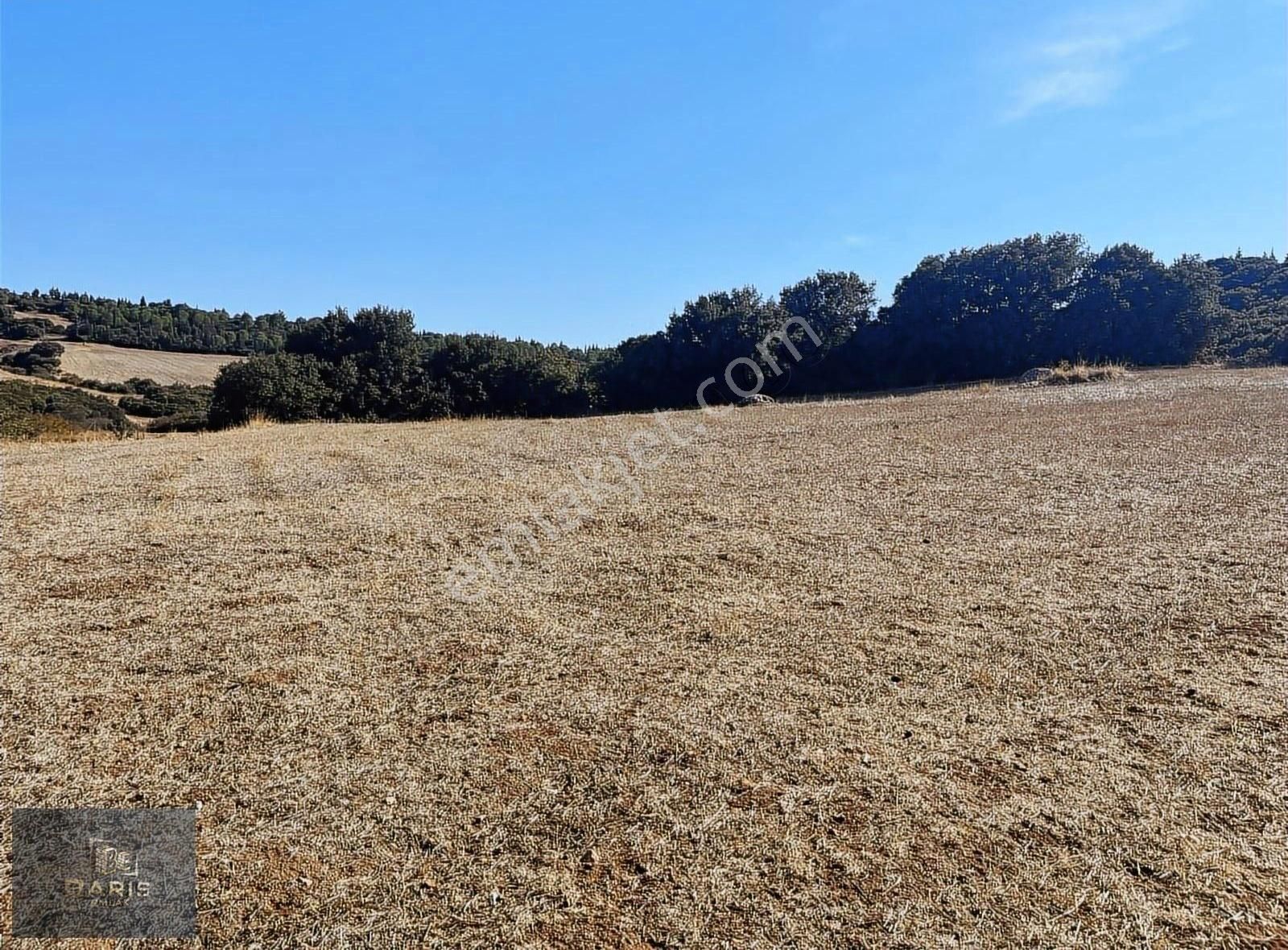 Çanakkale Ezine Kızılköy 'de Satılık Tarla - Görsel 17