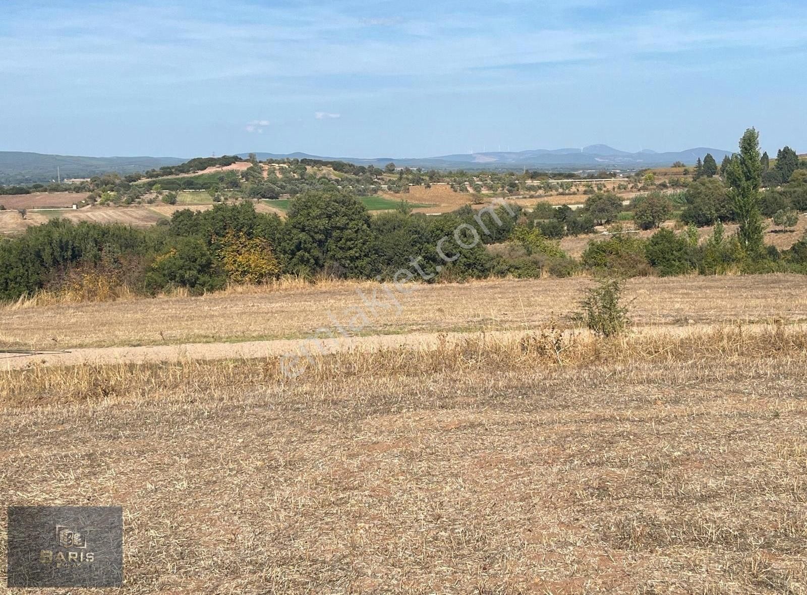 Çanakkale Ezine Kızılköy 'de Satılık Tarla - Görsel 13