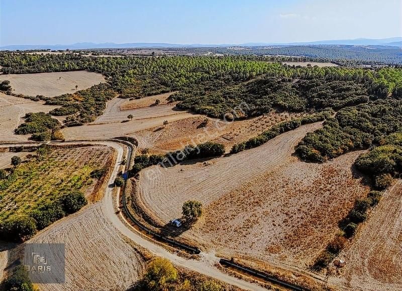 Çanakkale Ezine Kızılköy 'de Satılık Tarla - Görsel 21