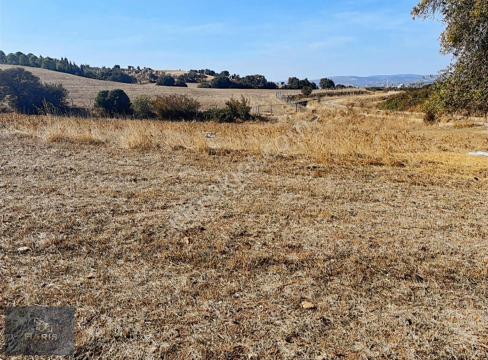 Çanakkale Ezine Kızılköy 'de Satılık Tarla - Görsel 9