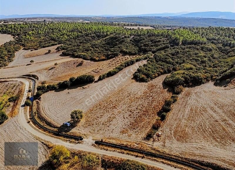 Çanakkale Ezine Kızılköy 'de Satılık Tarla - Görsel 8