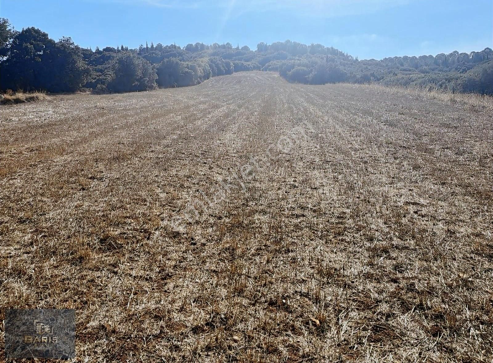 Çanakkale Ezine Kızılköy 'de Satılık Tarla - Görsel 5