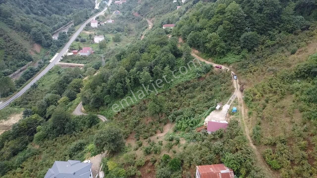 Trabzon Araklı'da Satılık Arazi - Görsel 21