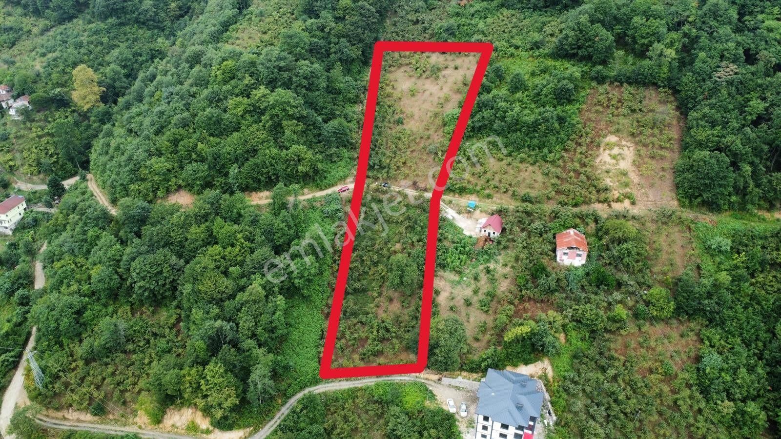 Trabzon Araklı'da Satılık Arazi - Görsel 3