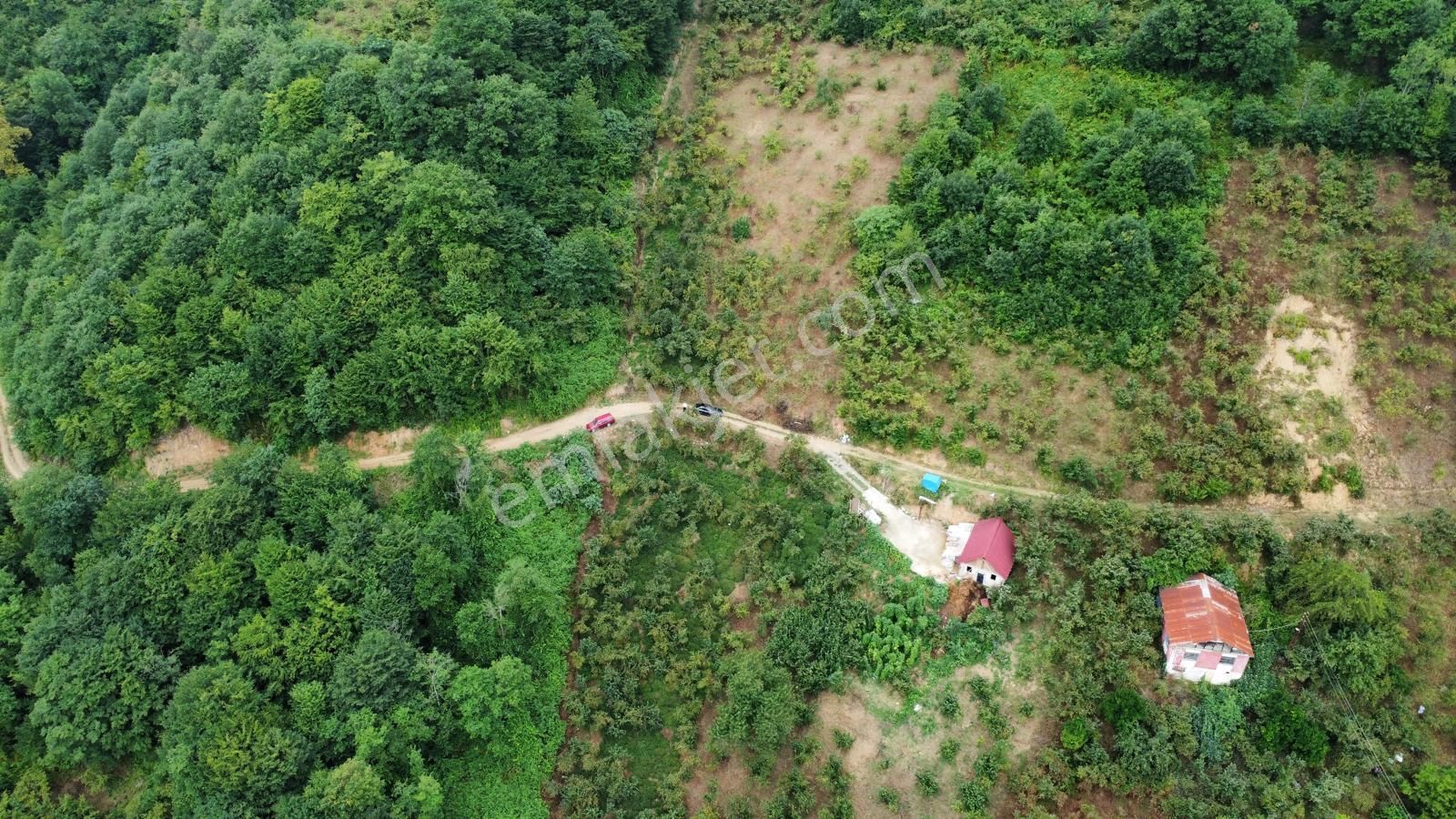 Trabzon Araklı'da Satılık Arazi - Görsel 13
