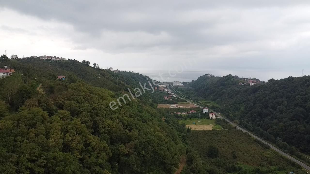 Trabzon Araklı'da Satılık Arazi - Görsel 20