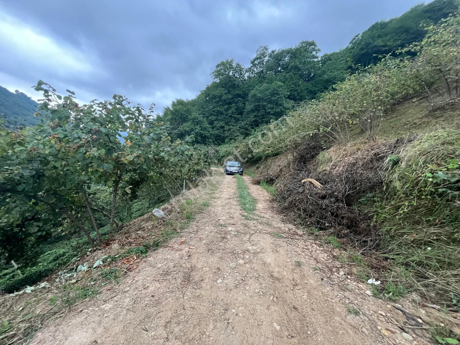 Trabzon Araklı'da Satılık Arazi - Görsel 30