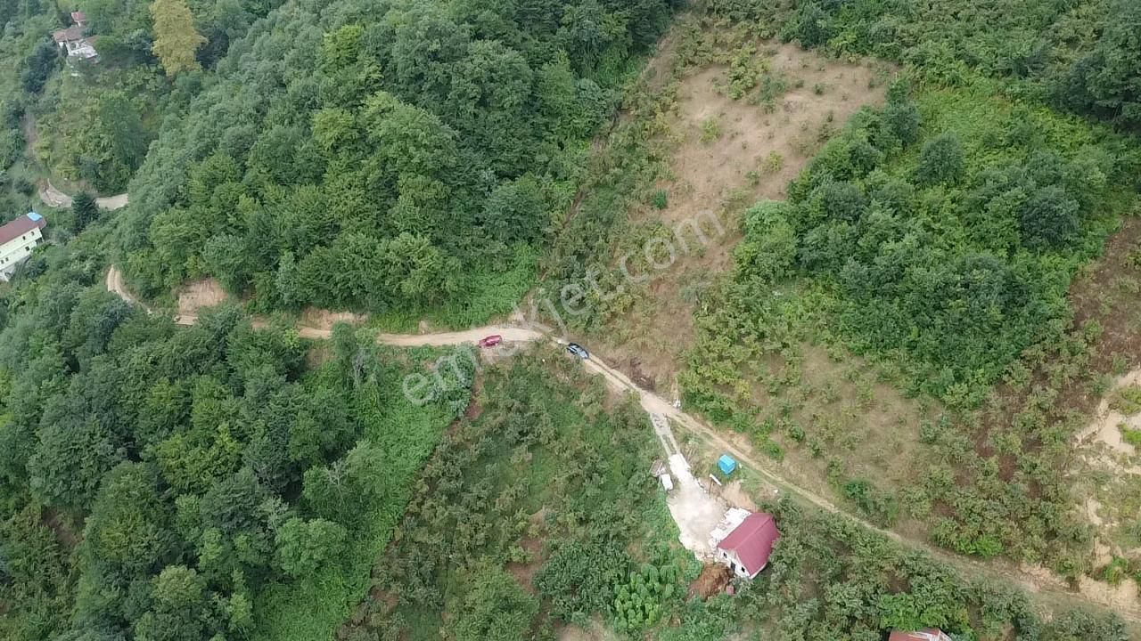 Trabzon Araklı'da Satılık Arazi - Görsel 18