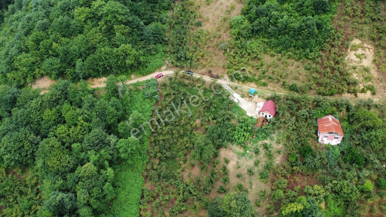 Trabzon Araklı'da Satılık Arazi - Görsel 15
