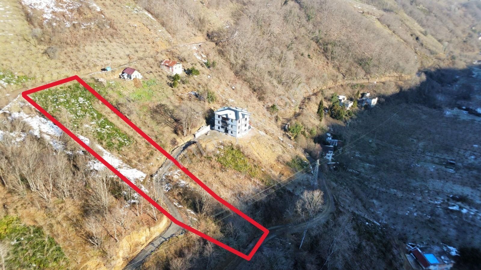 Trabzon Araklı'da Satılık Arazi - Görsel 5